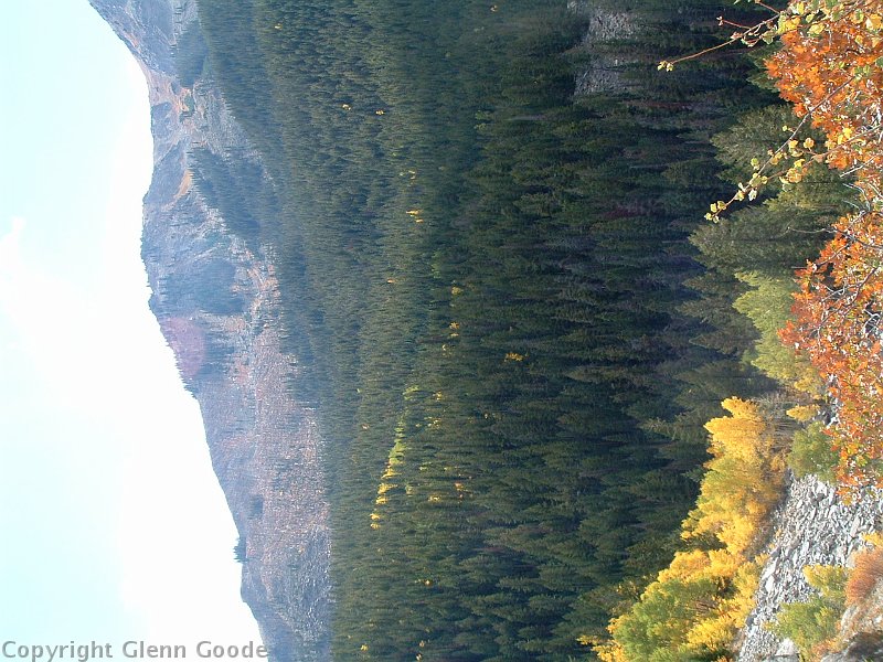 aspen trip 2008 037